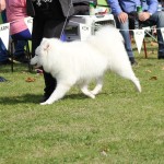 img_8958
